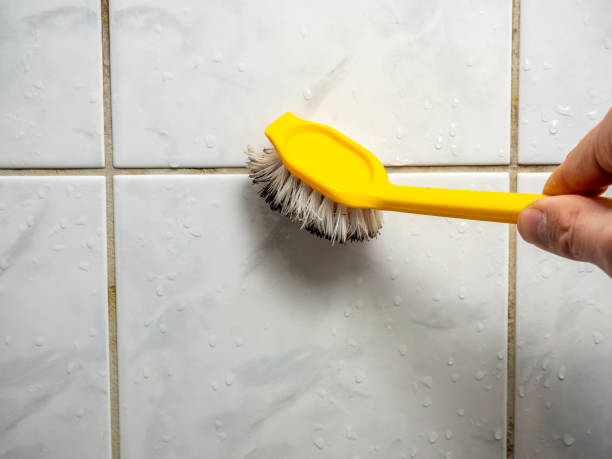 Best Mold Removal Near Me  in Mount Jackson, VA