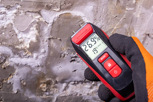 Water Damage Restoration in Mount Jackson, VA