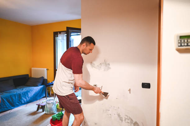 Best Same-Day Mold Removal  in Mount Jackson, VA